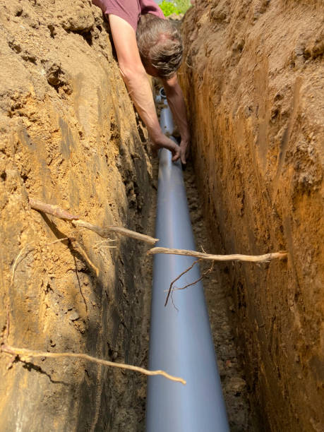 Best Flood damage cleanup  in Pirtleville, AZ