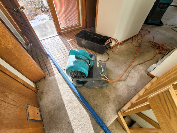 Water damage restoration mold remediation in Pirtleville, AZ