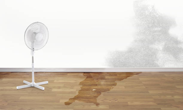  Pirtleville, AZ Water damage restoration Pros