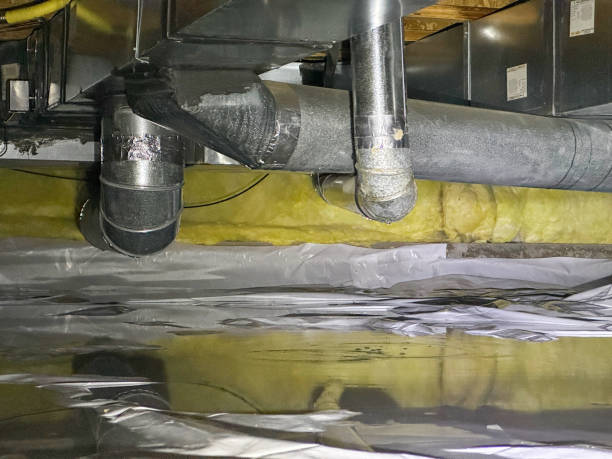 Best Water damage restoration near me  in Pirtleville, AZ
