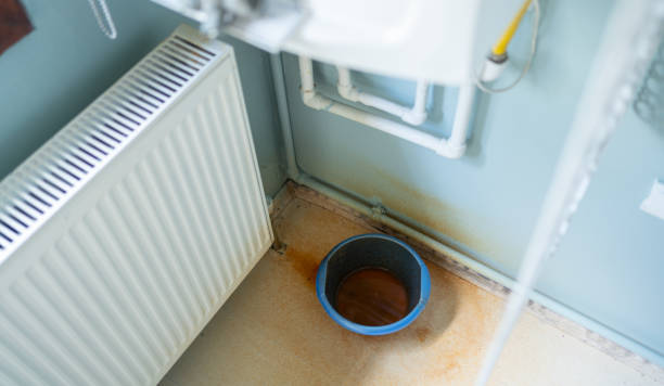 Best Sewage cleanup and water damage restoration  in Pirtleville, AZ